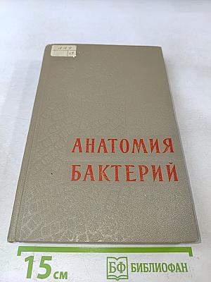 Анатомия бактерий