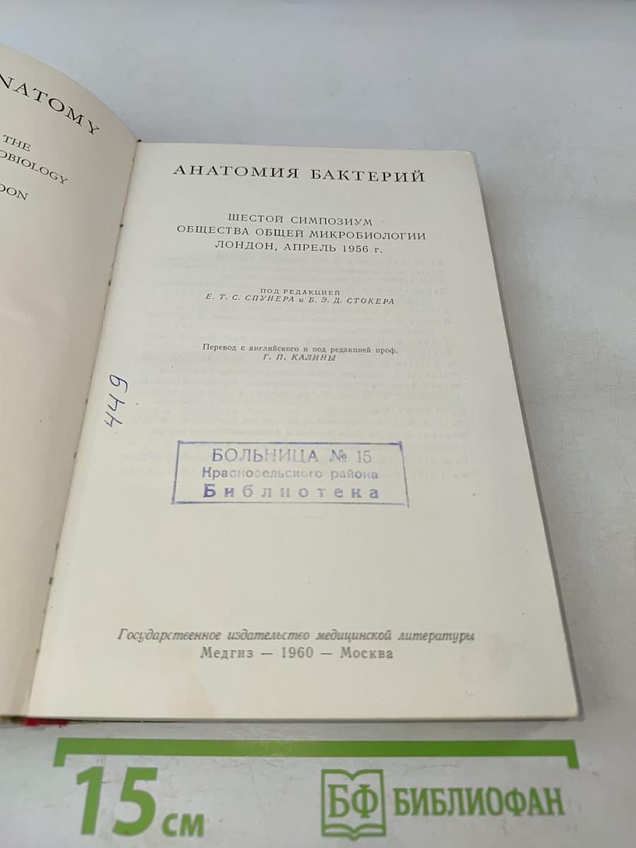 Анатомия бактерий
