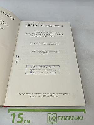 Анатомия бактерий