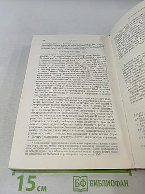 Анатомия бактерий