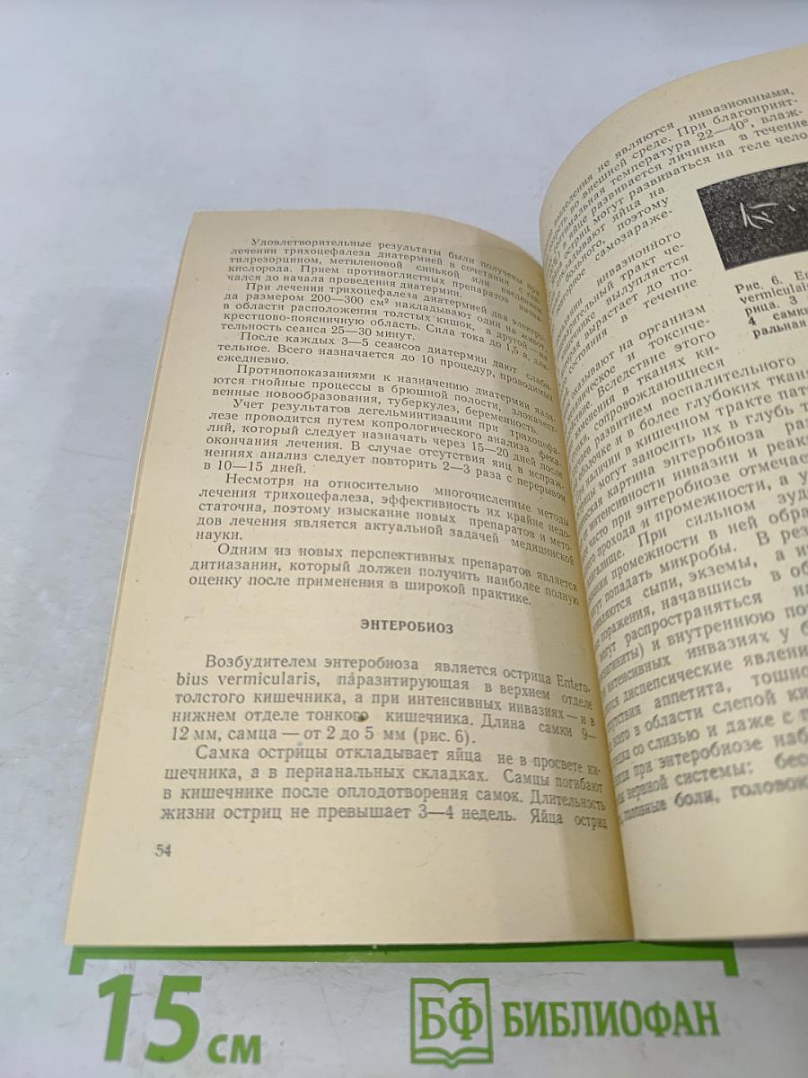 Диагностика и лечение гельминтозов человека