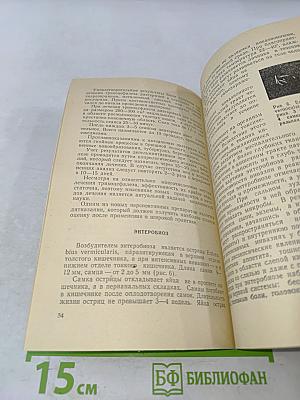 Диагностика и лечение гельминтозов человека