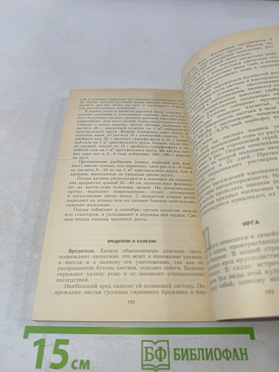Ягодный сад