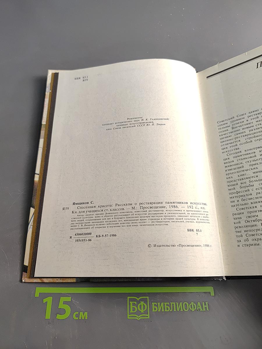 Спасенная красота. Рассказы о реставрации памятников искусства