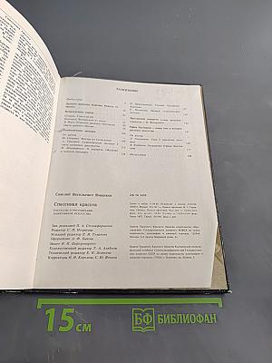 Спасенная красота. Рассказы о реставрации памятников искусства