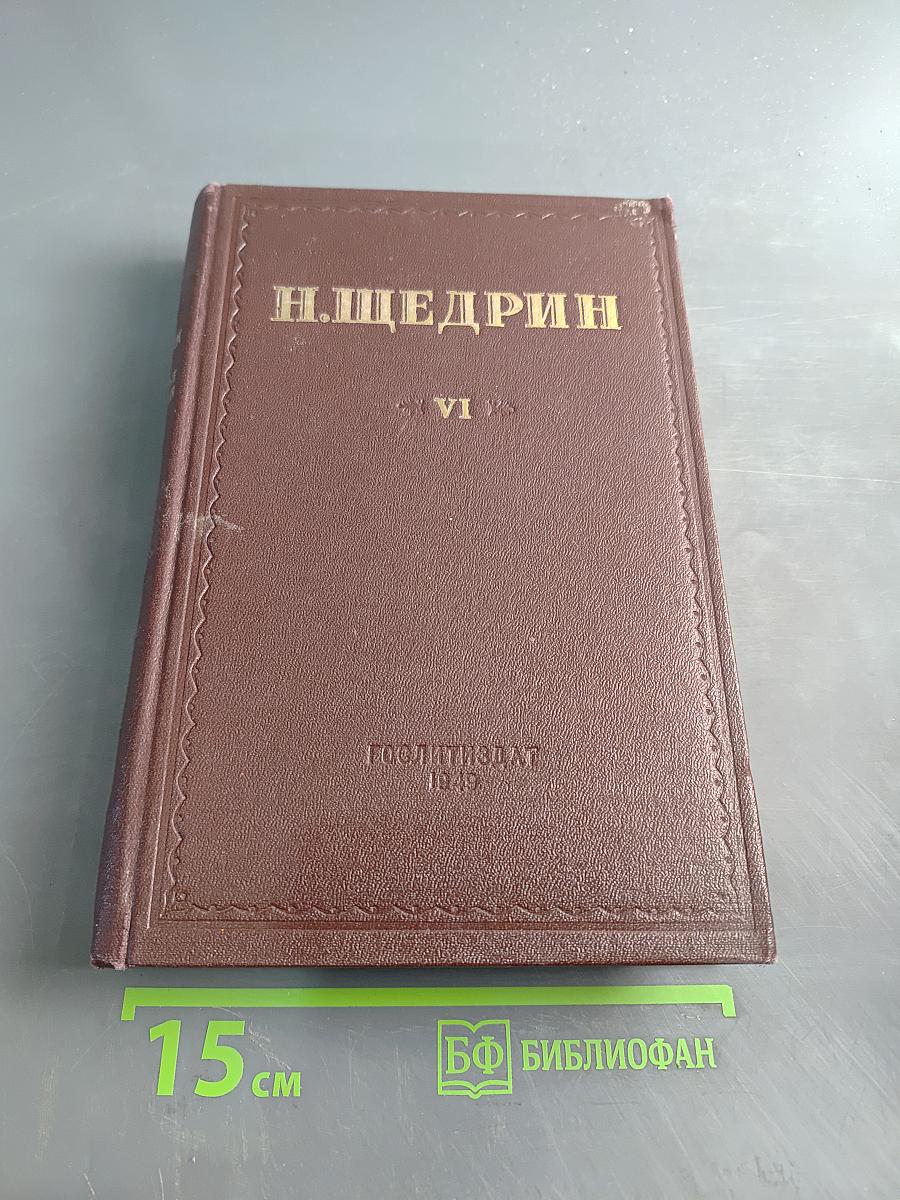 Сказки. Мелочи жизни. Избранные произведения. Том VI