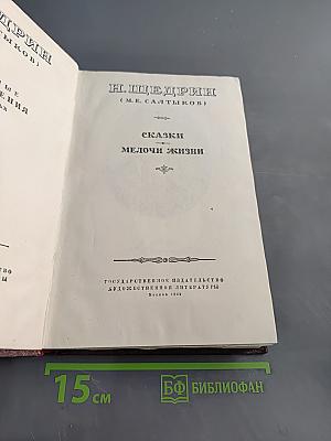 Сказки. Мелочи жизни. Избранные произведения. Том VI