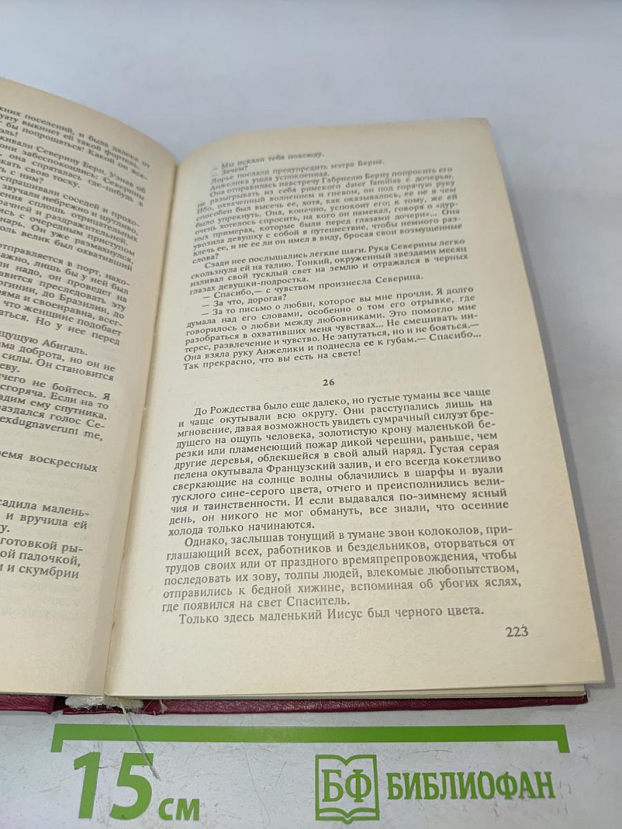 Анжелика. Дорога надежды. Анжелика и ее победа