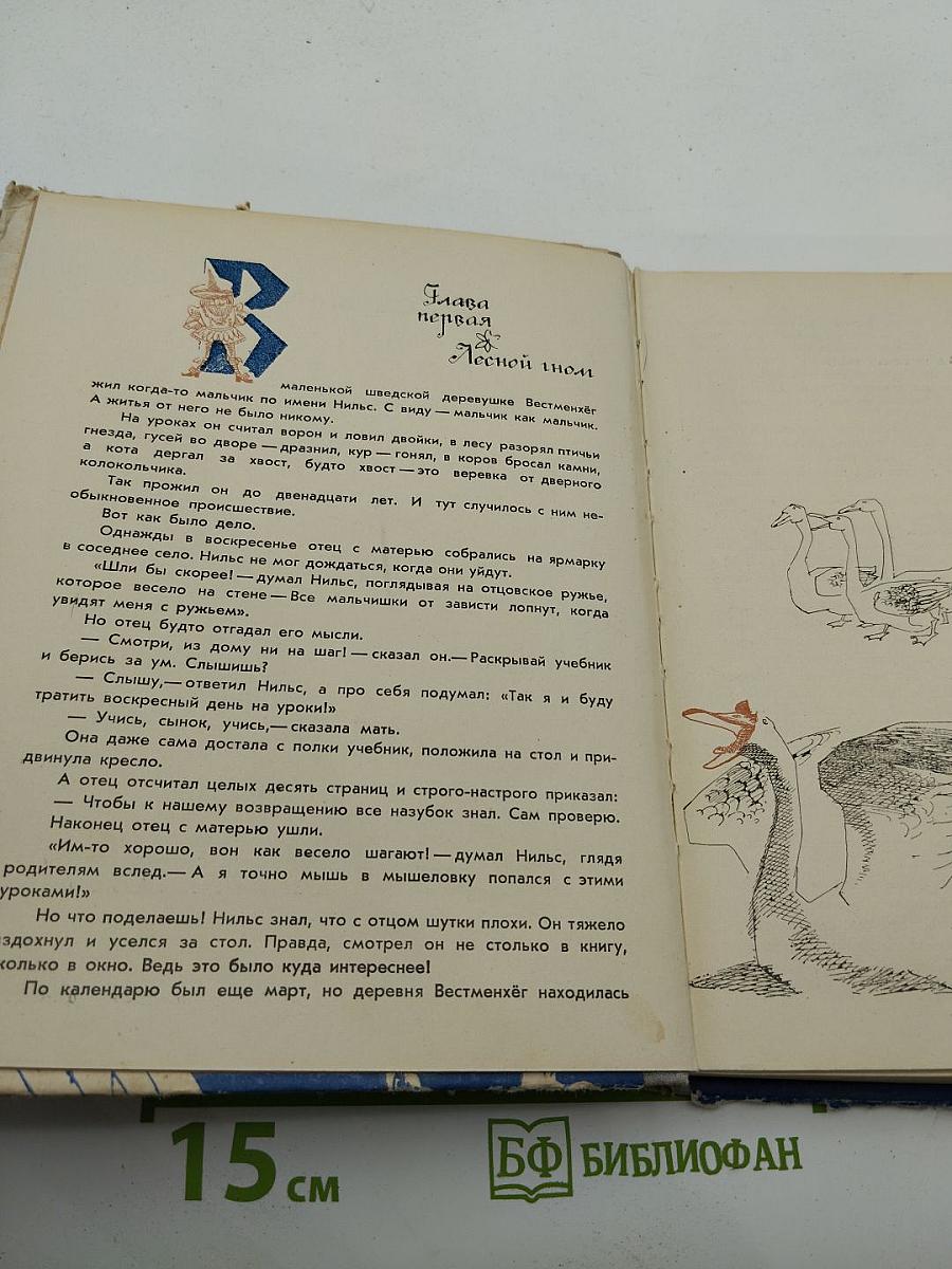 Чудесное путешествие Нильса с дикими гусями