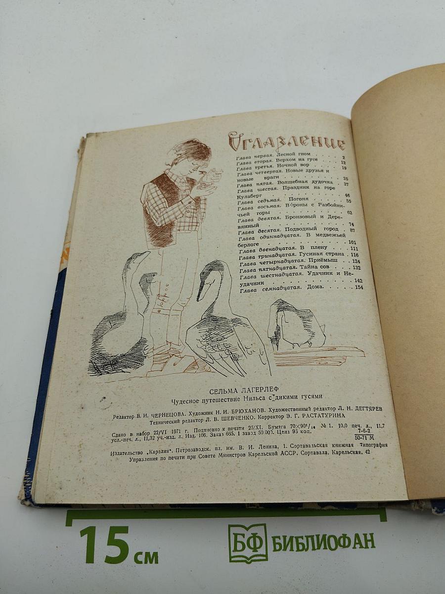 Чудесное путешествие Нильса с дикими гусями