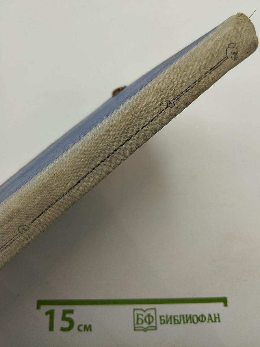 Чудесное путешествие Нильса с дикими гусями