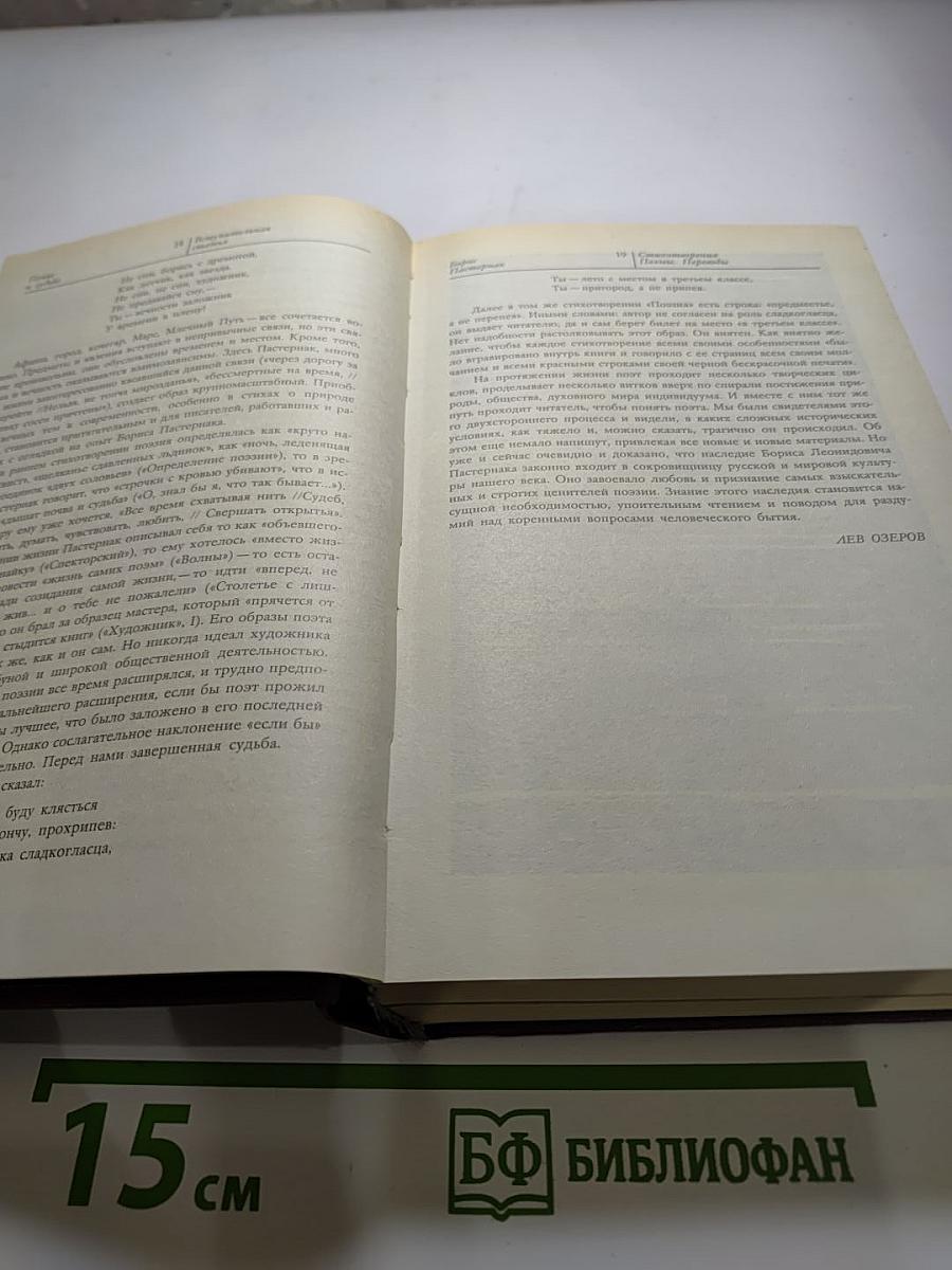 Стихотворения и поэмы. Переводы