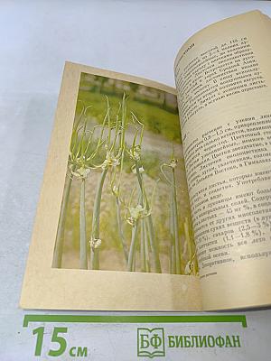 Пряно-ароматические растения