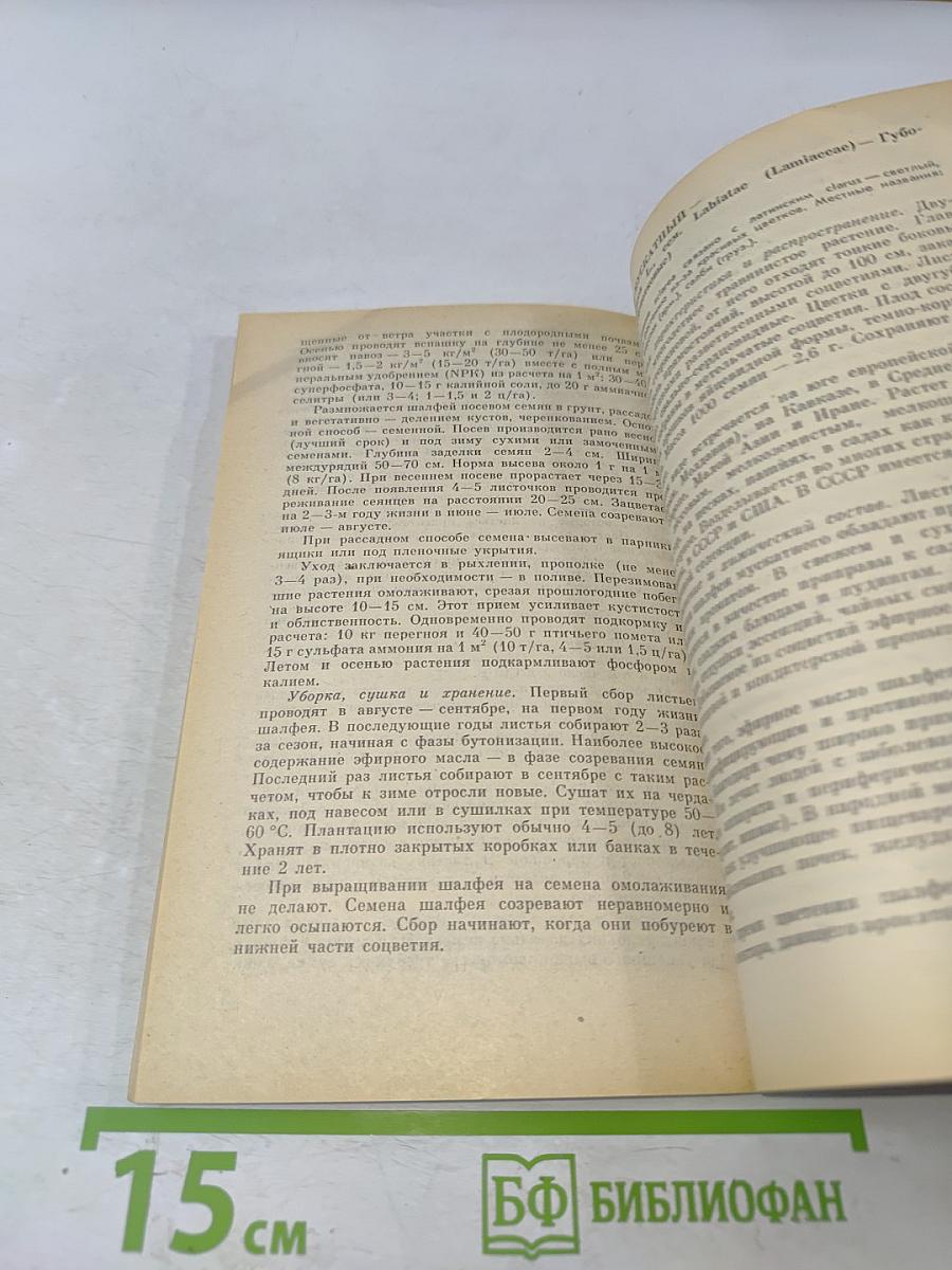 Пряно-ароматические растения