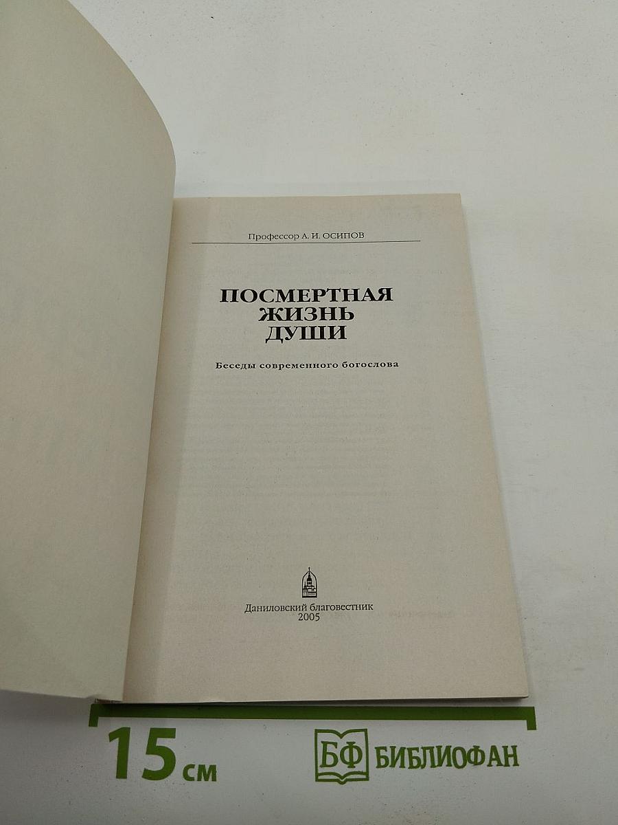 Посмертная жизнь души. Беседы современного богослова