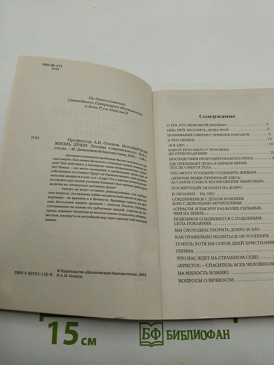 Посмертная жизнь души. Беседы современного богослова