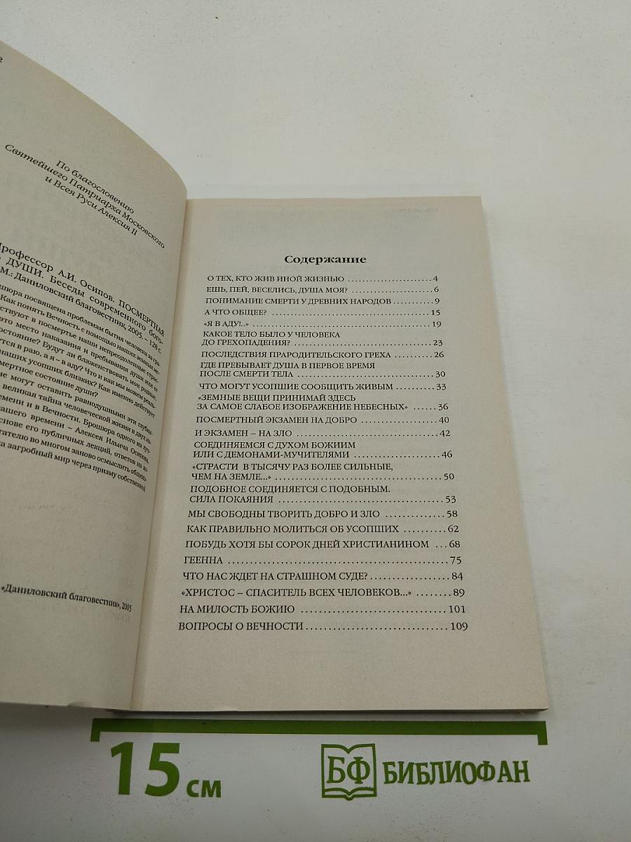 Посмертная жизнь души. Беседы современного богослова