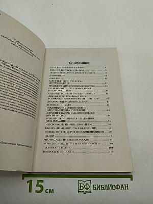 Посмертная жизнь души. Беседы современного богослова