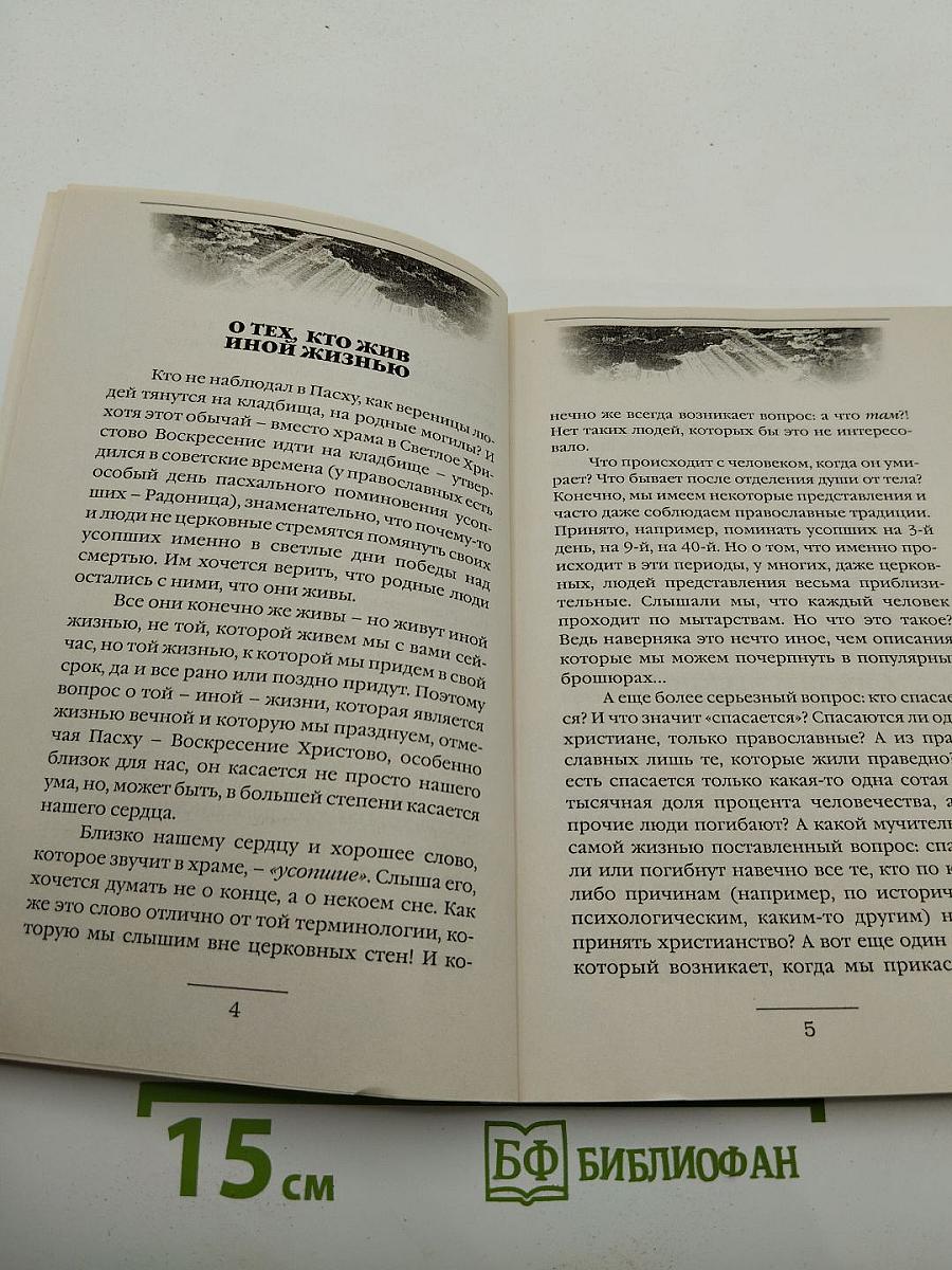 Посмертная жизнь души. Беседы современного богослова