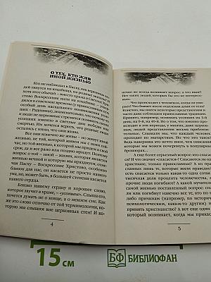 Посмертная жизнь души. Беседы современного богослова