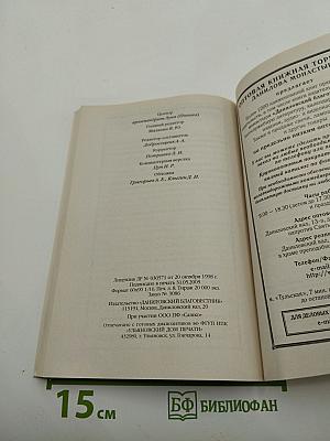 Посмертная жизнь души. Беседы современного богослова