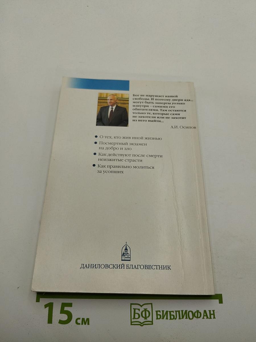 Посмертная жизнь души. Беседы современного богослова