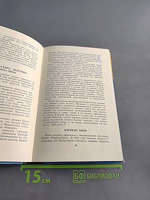 Приключения одной теории