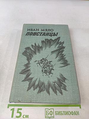 Повстанцы