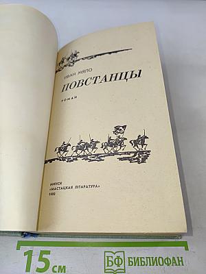 Повстанцы