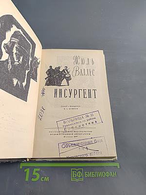 Инсургент