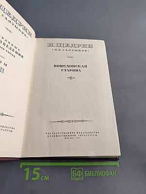 Пошехонская старина. Том VII