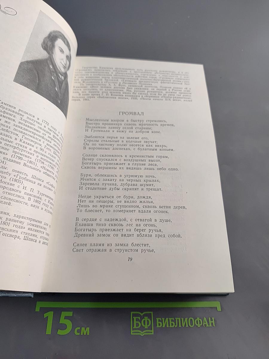 Русские поэты XIX века. Хрестоматия