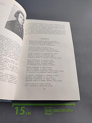 Русские поэты XIX века. Хрестоматия