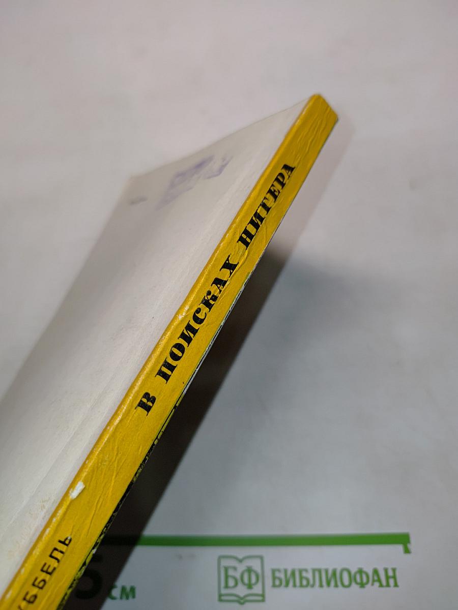 В поисках Нигера