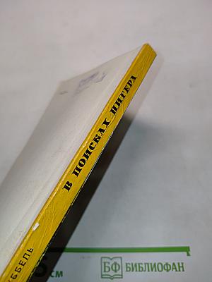 В поисках Нигера