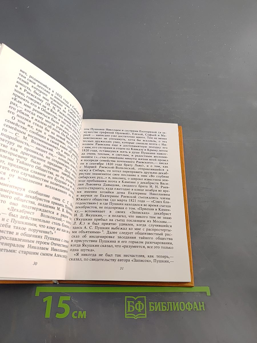 Мир Пушкина в его рисунках