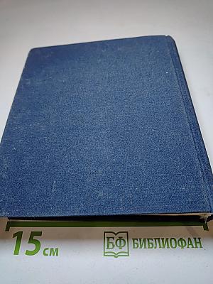 Ода в честь любви