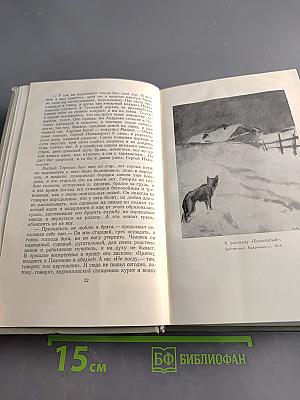 Собрание сочинений. Том восьмой. Повести и рассказы 1895-1903