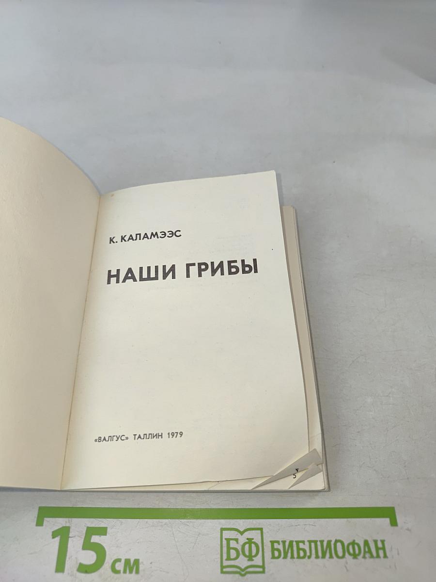 Наши грибы