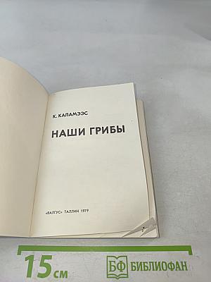 Наши грибы