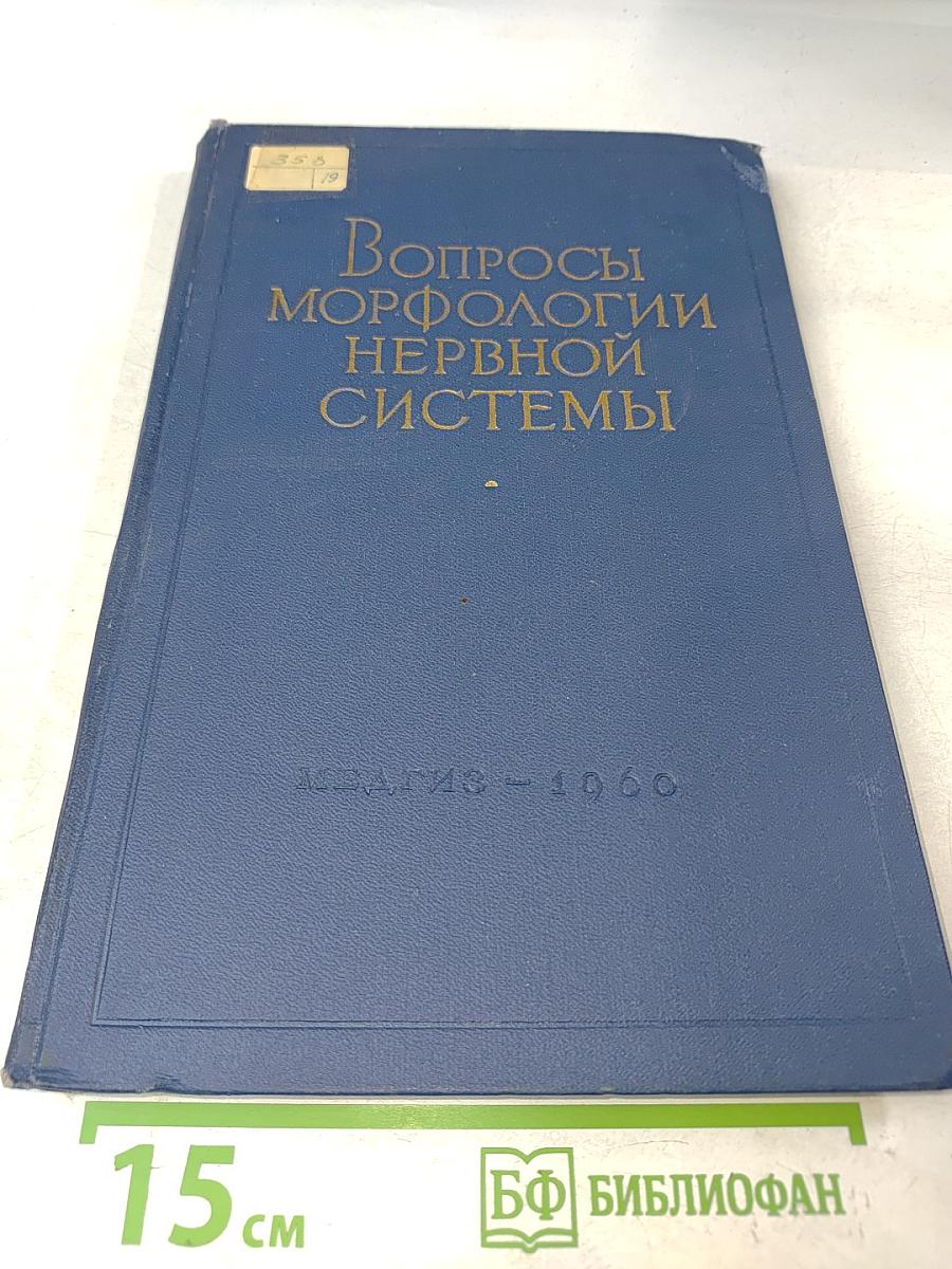 Вопросы морфологии нервной системы