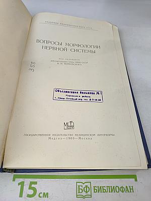 Вопросы морфологии нервной системы