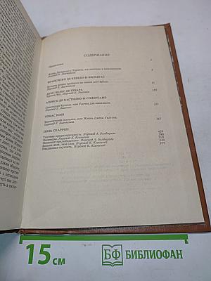 Плутовской роман. XVI-XVII в.в.