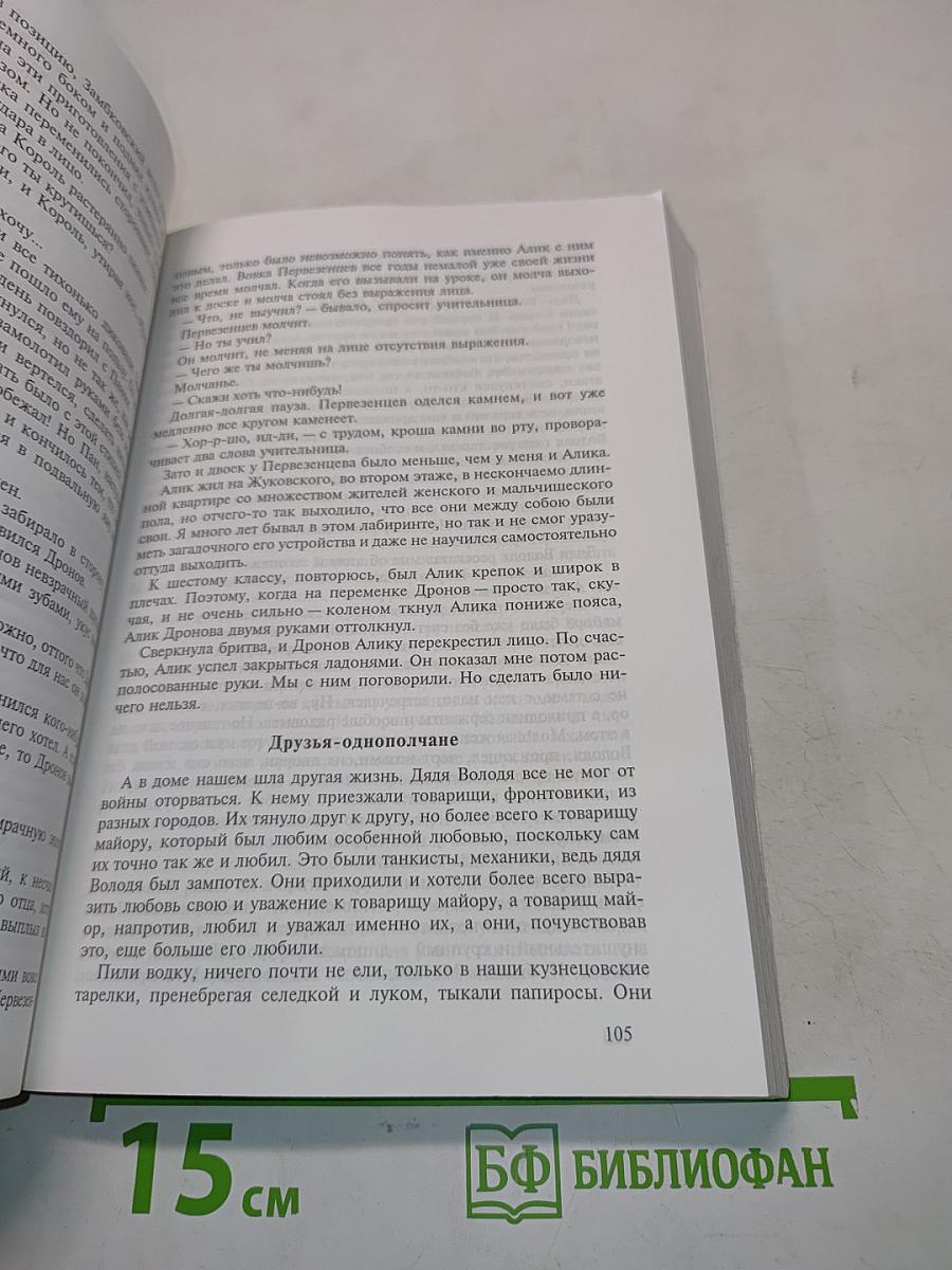 Однажды приснилось. Записки дилетанта