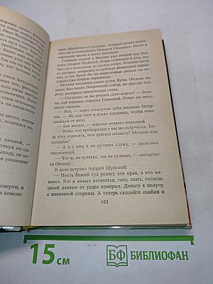 Тайная любовь княгини