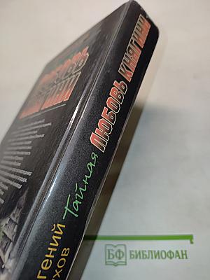 Тайная любовь княгини