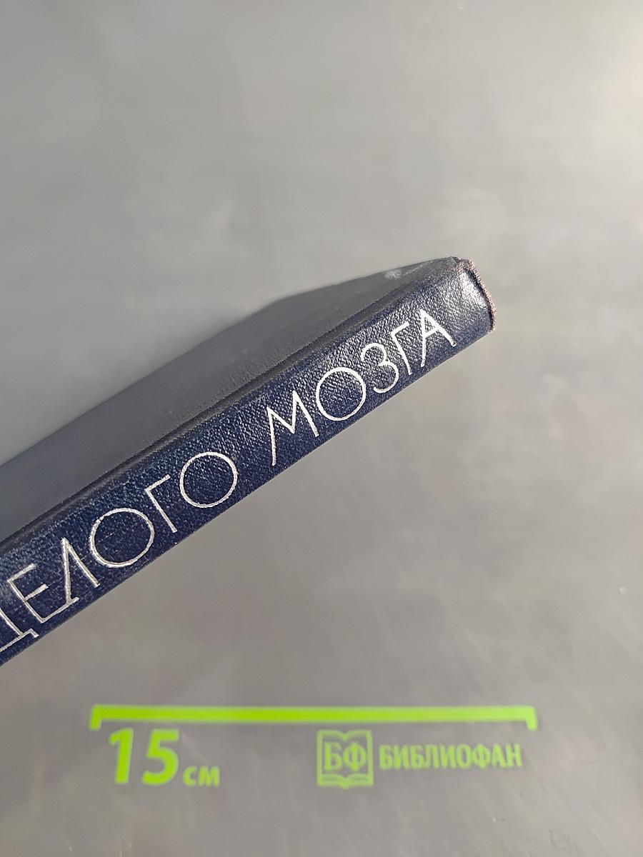 Механизмы целого мозга