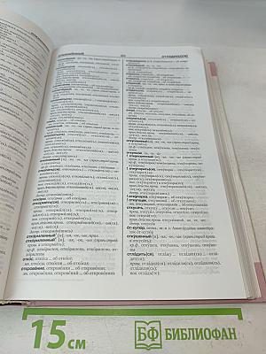 Новый орфоэпический словарь русского языка