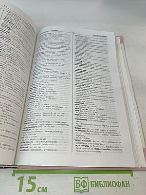 Новый орфоэпический словарь русского языка