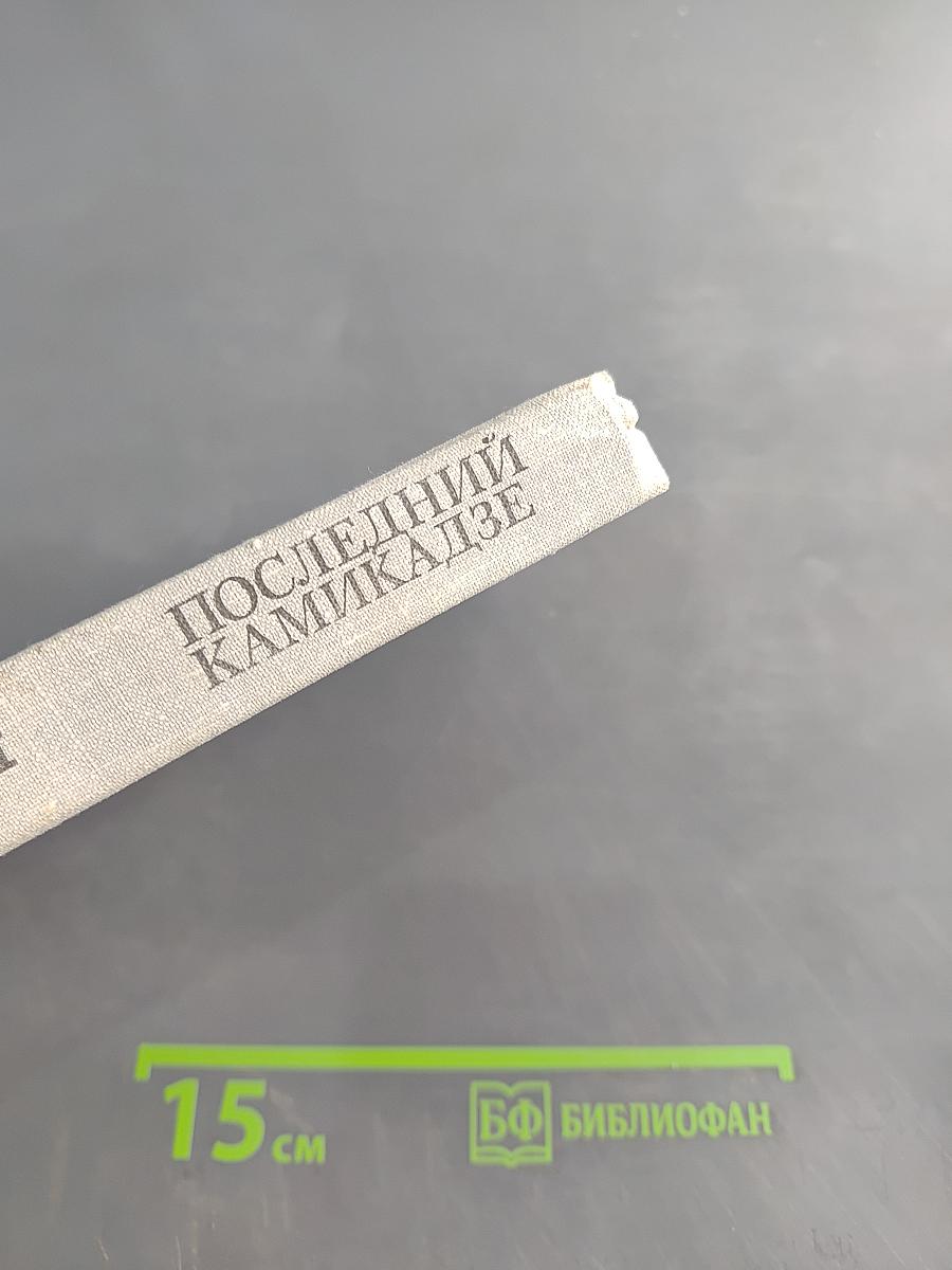 Последний камикадзе